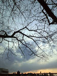 2011032518110000_edited-1.jpg