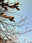 2011033116160001_edited-1.jpg