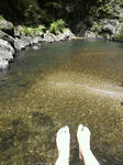 2011080710420001.jpg
