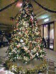 2011121017140000_edited-1.jpg