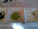 2011121012200002_edited-1.jpg