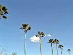 DSC07125_edited-1.jpg