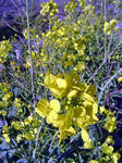 DSC07126_edited-1.jpg