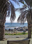 DSC07124_edited-1.jpg