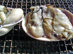 DSC07111_edited-1.jpg