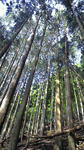 2012062708070001_edited-1.jpg