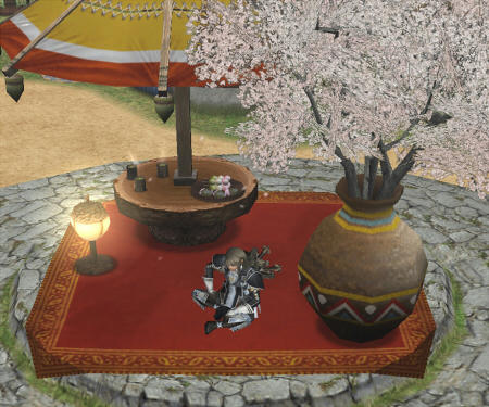 お花見です。