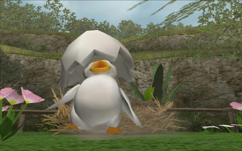たまごのカラかぶっててかわいい。