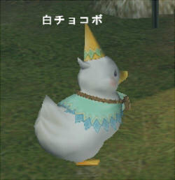 いろいろつっこみどころのある名前でありますね。