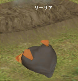 これもまたかわいい（笑）。