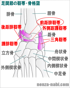 足の捻挫図解