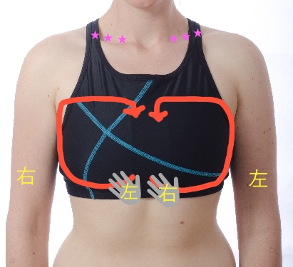 まあるいバスト