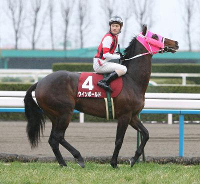 ウインボールド20080120