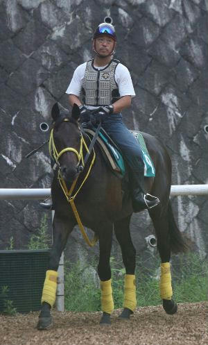 ウインペンタゴン200809-1