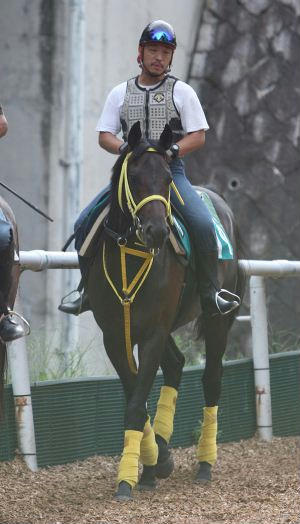ウインペンタゴン200809-2