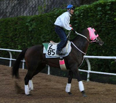 ウインボールド200809