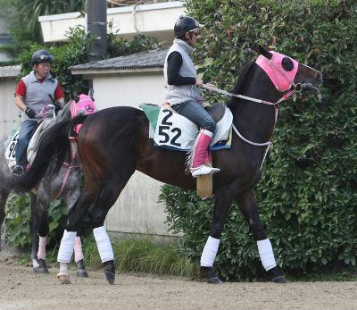 ウインボールド200811-2