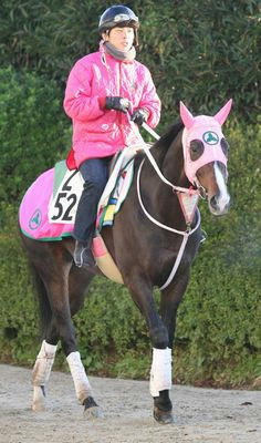 ウインボールド200812-3