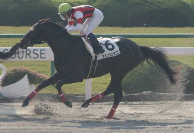 ウインペンタゴン200812-2