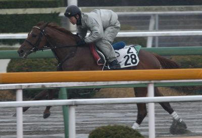 ウインアトラス200903-3