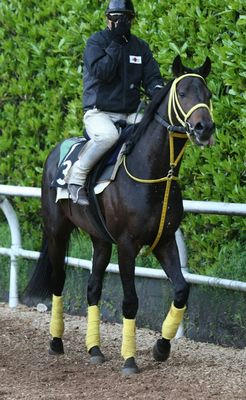 ウインペンタゴン200905-2