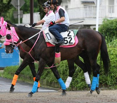 ウインボールド200908-1