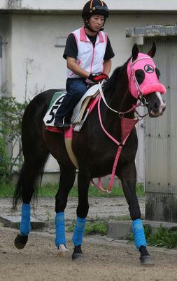 ウインボールド200908-2
