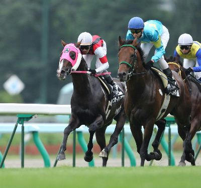 ウインボールド200710-1