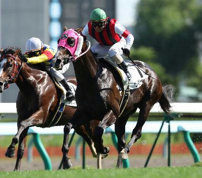 ウインボールド200710-2