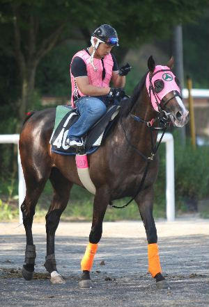 ウインボールド200708-1