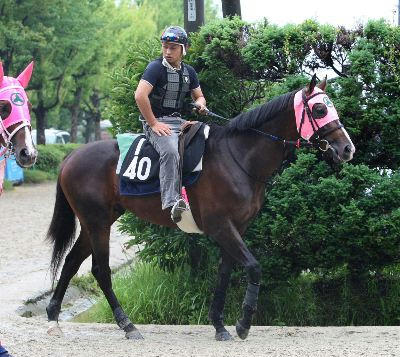 ウインボールド200707-1