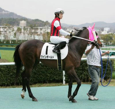 ウインボールド200704-2