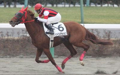 ウインアトラス201001