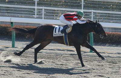 ウインブシドウ201002-2