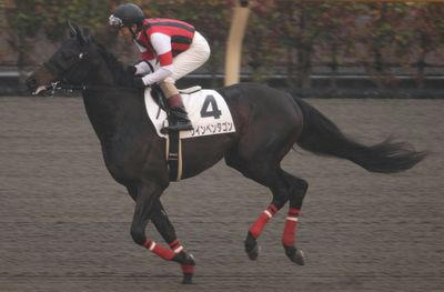 ウインペンタゴン201003-1