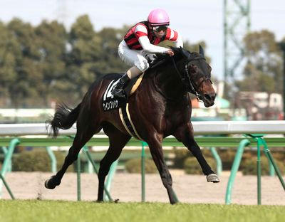 ウインブシドウ201004-2