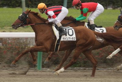 ウインアトラス201005-1
