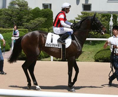 ウインブシドウ201006-2