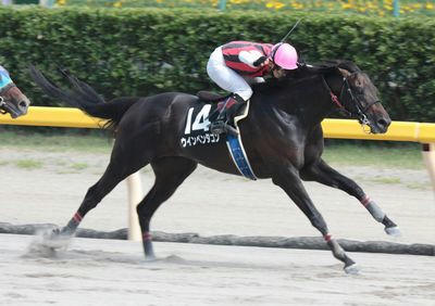 ウインペンタゴン201008-1