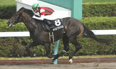 ウインブシドウ201010-1