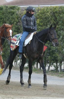 ウインペンタゴン201011-1