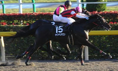 ウインペンタゴン201012