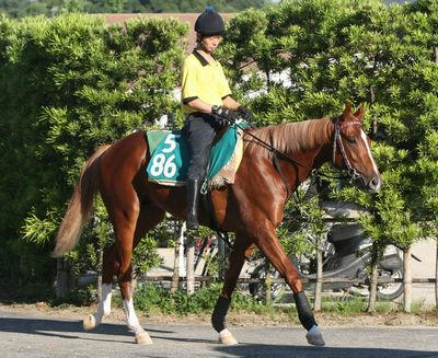 ウインオーラム201107-2