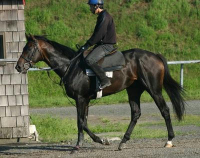 ウインブシドウ201107-1