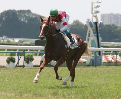 ウインオーラム201108-1