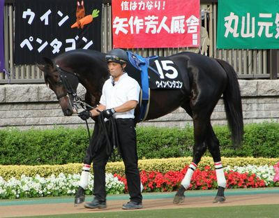 ウインペンタゴン201111-2