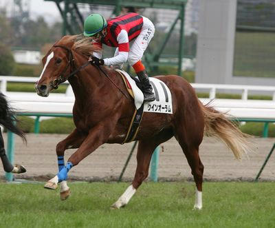 ウインオーラム201201-1