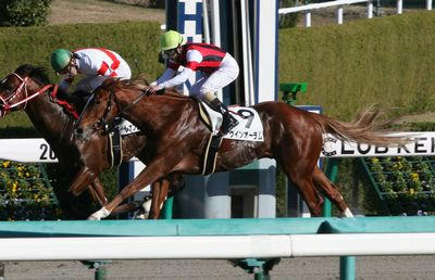 ウインオーラム201201-2