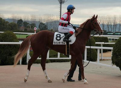 ウインオーラム201202-1