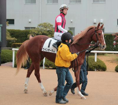 ウインオーラム201202-2